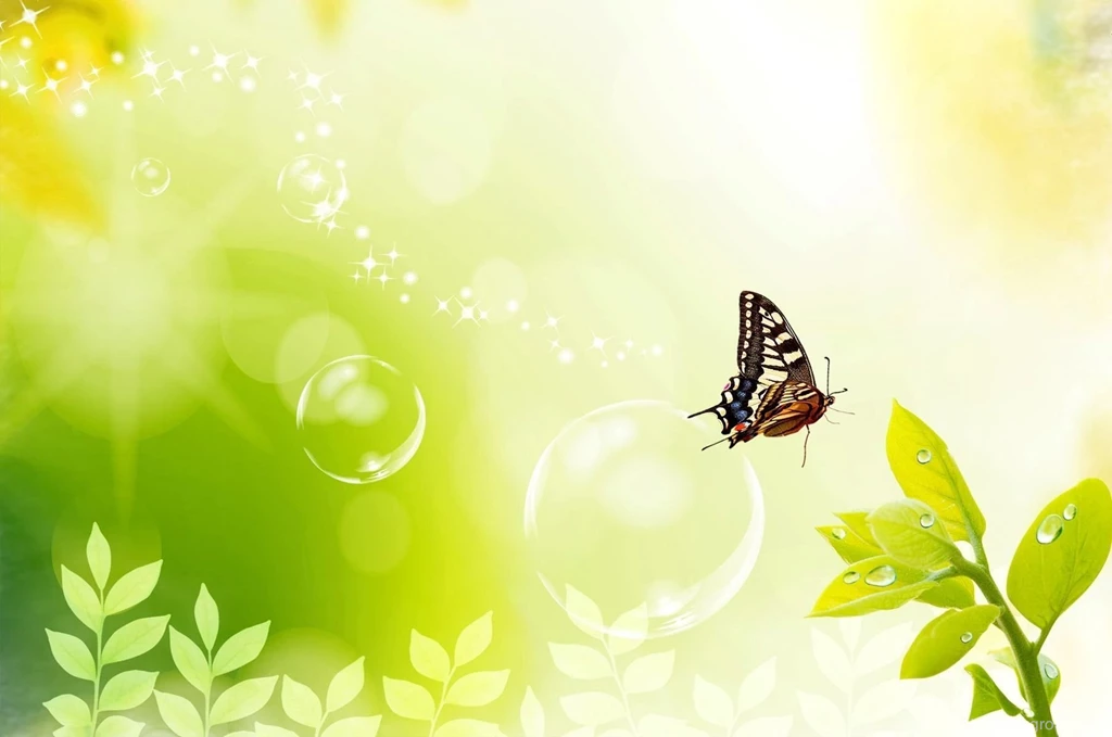 Butterfly Backgrounds ImgMob