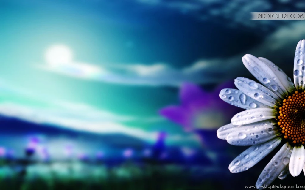 Latest Beautiful Wallpapers   All Wallpapers New