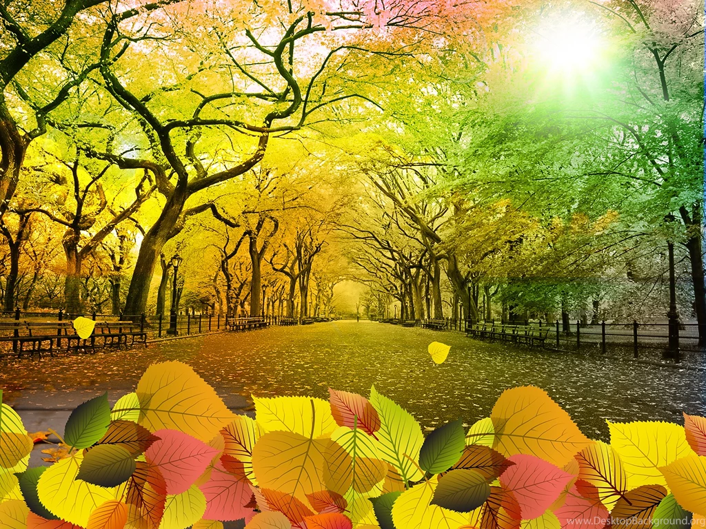 Wallpaperlite.com