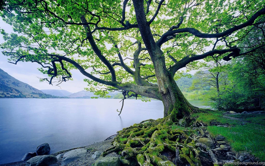 120 Stunning High Resolution Windows 7 HD Wallpapers Wallpapers ...