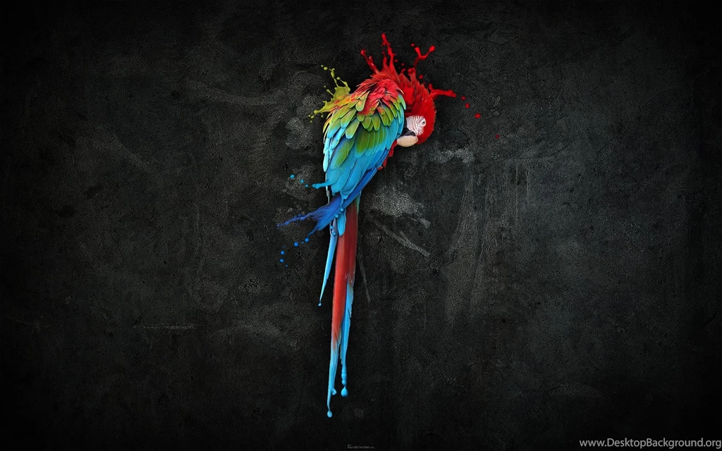 2014 Creative Desktop Wallpapers Wallpapers Mela