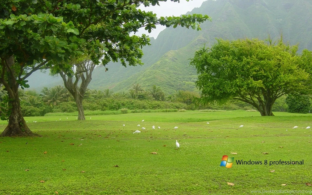 Windows 8 Backgrounds High resolution Wallpapers For Your PC