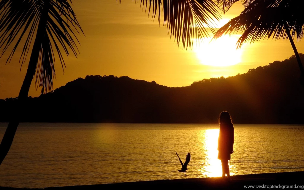 Wallpaper, Change, Sunrise (