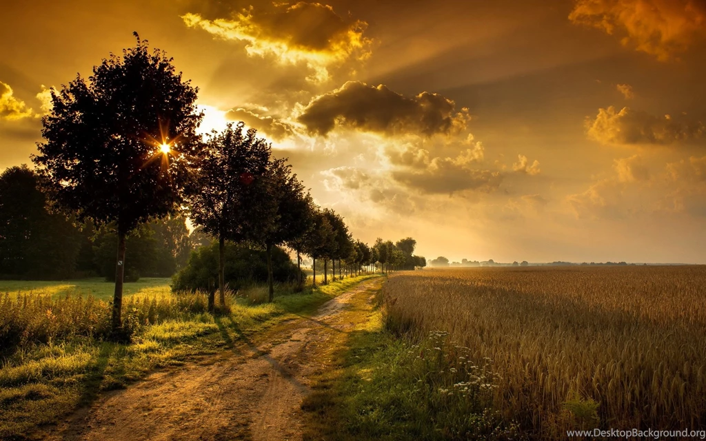 10 Fields Of Sunrise Hd Wallpapers Jpg 533 :: Time Hd Wallpapers