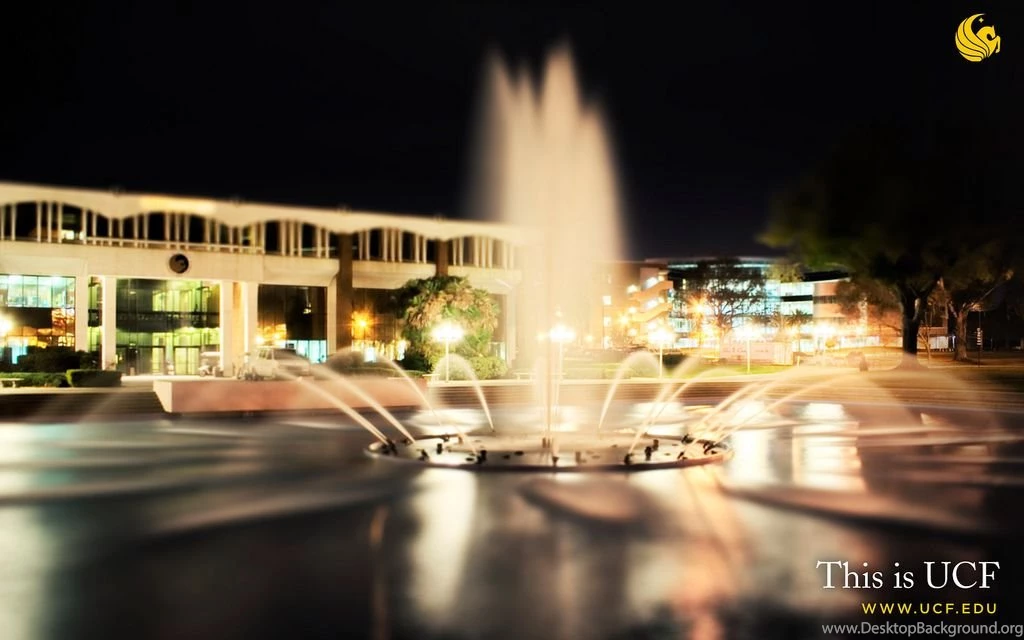 Reflecting Pond At Night 1920x1200 Wallpapers