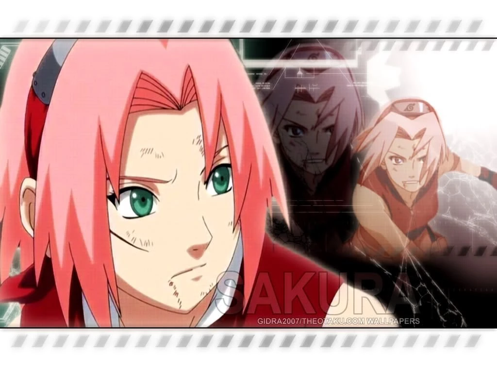 Sakura Haruno Shippuden Wallpapers Photo By Neji_fan_101