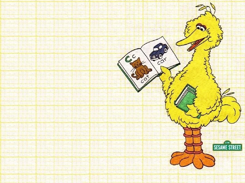 Ses_bird.jpg