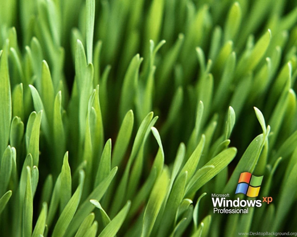 Windows Grass Vista Wallpapers   Windows Vista Wallpapers   Free ...