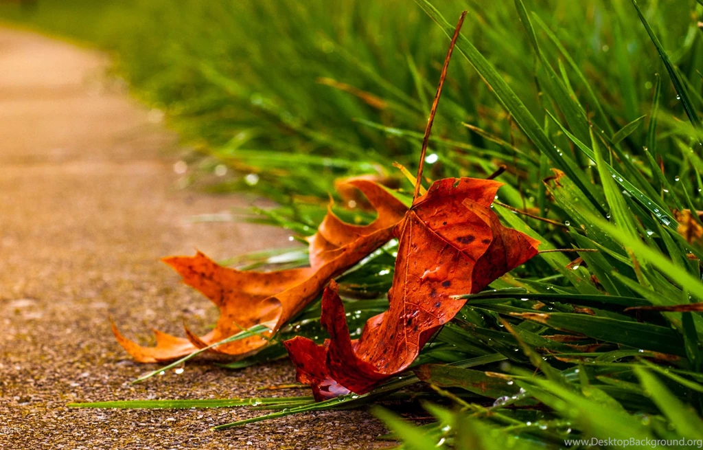 Nature Wallpapers, Natural, Sky, Amazing Views, Cool Backgrounds ...