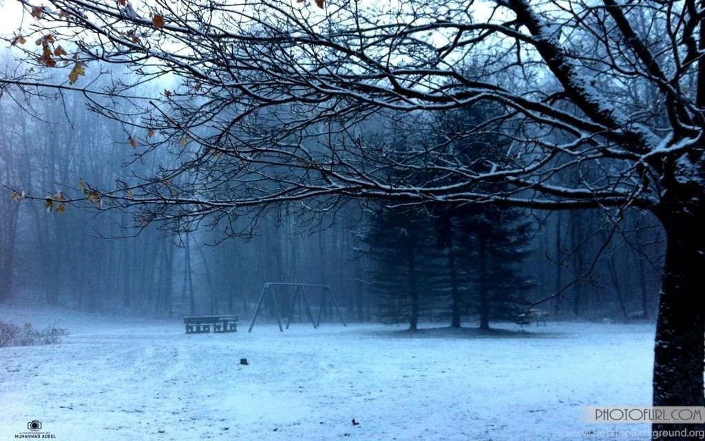 A Beautiful Feeling Of Nature HD Wallpapers 2013