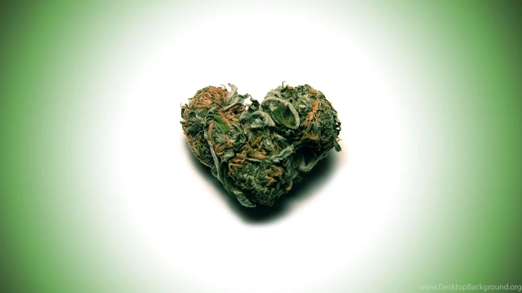 True Life: I'm In The Marijuana Business Rise N' Pine