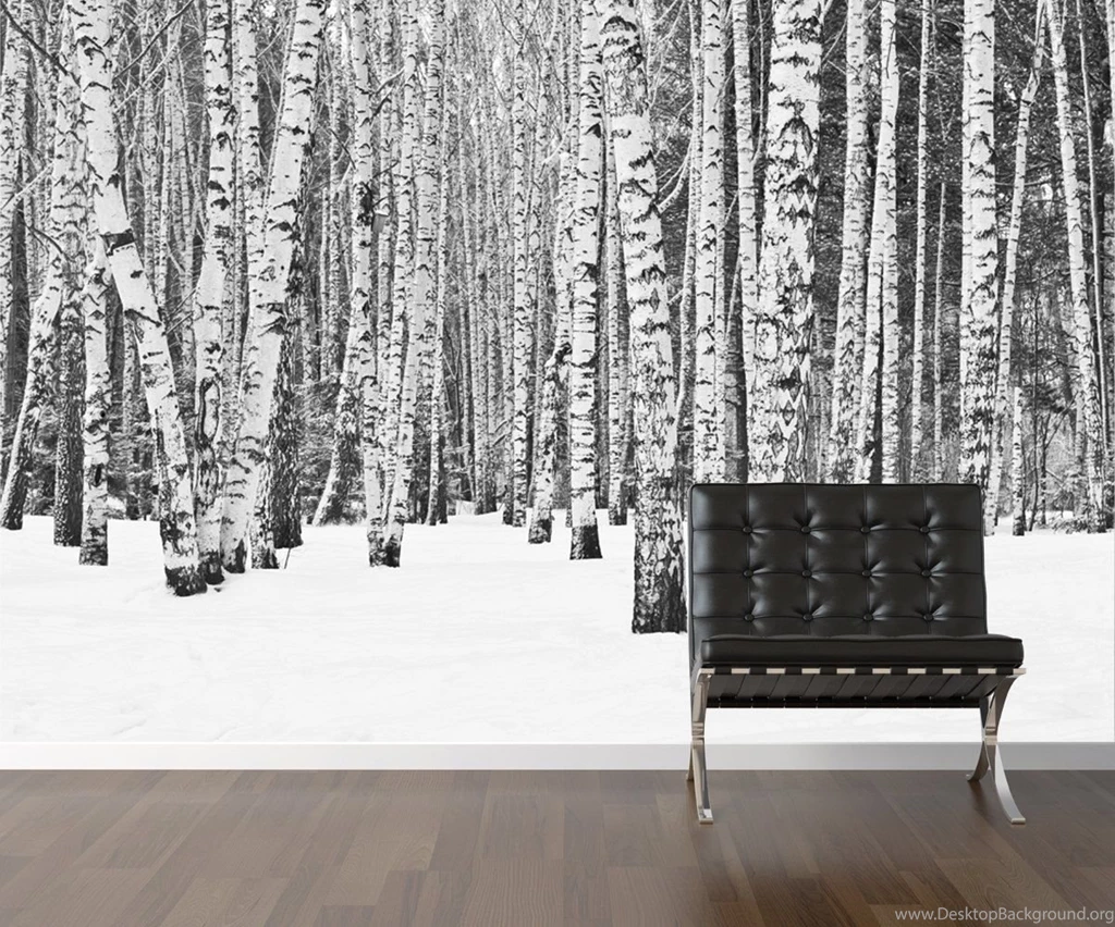 Popular Items For Forest Wallpapers On Etsy