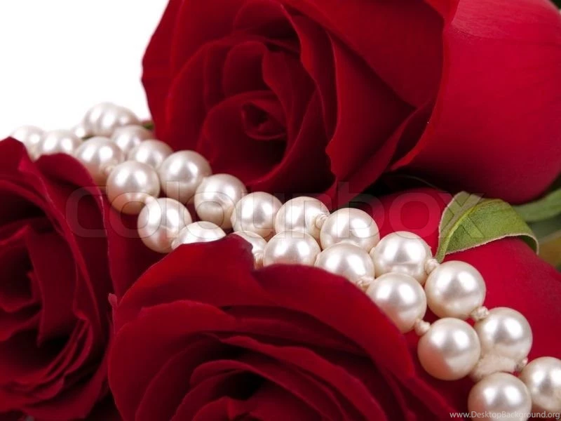 Red Rose And Pearls As Backgrounds
