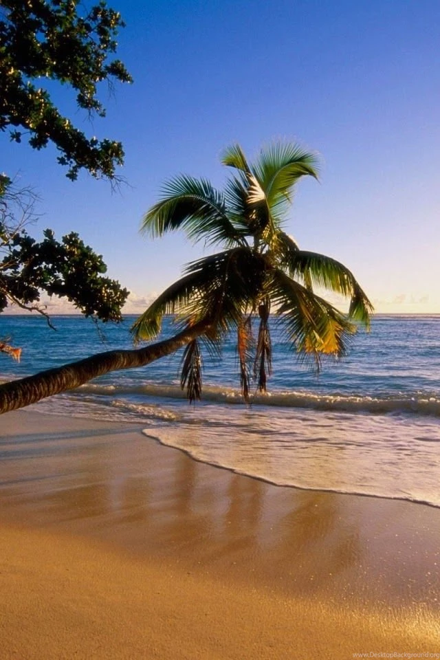 Beach+Sea+hd+mobile+wallpapers.jpg