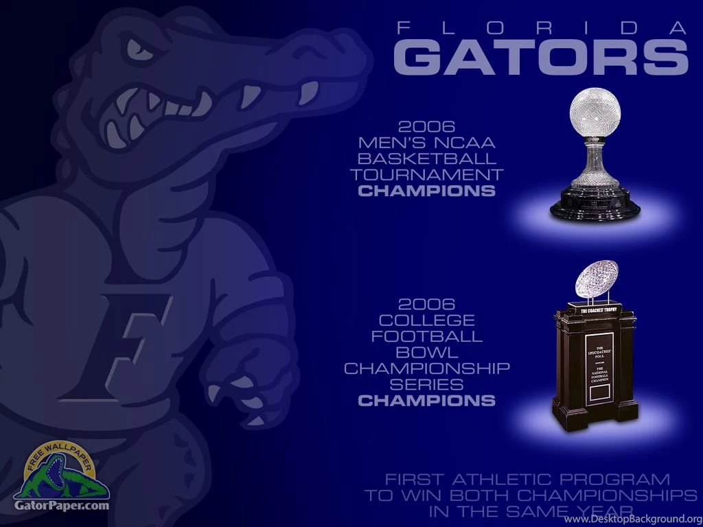 FREE GATOR WALLPAPER