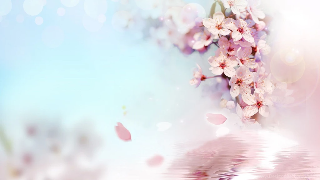 Free Download 25 Best Peach Flower HD Wallpapers 2015