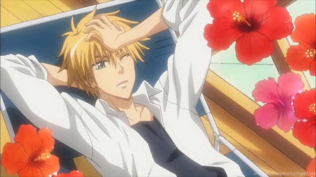 Maid Sama   My Takumi Walker. Wallpapers (32827082)   Fanpop