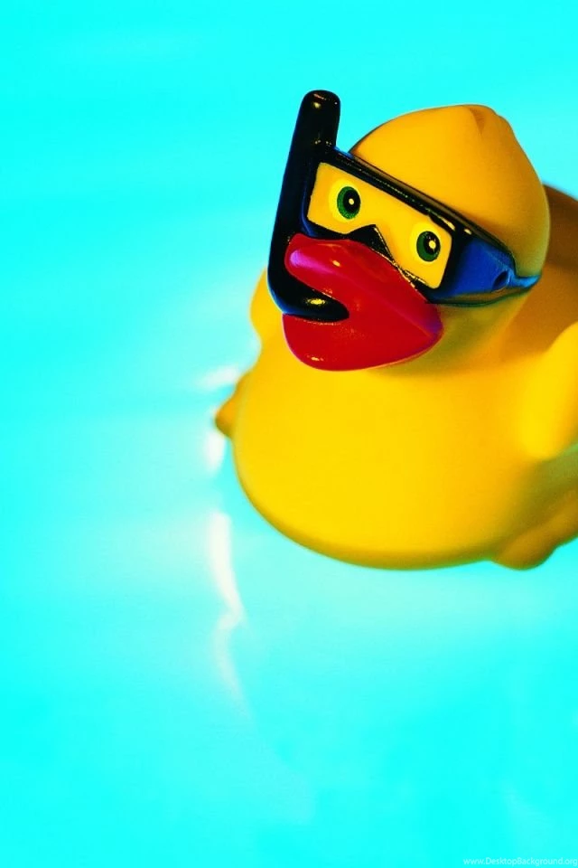 640x960 Little Rubber Duck Iphone 4 Wallpapers