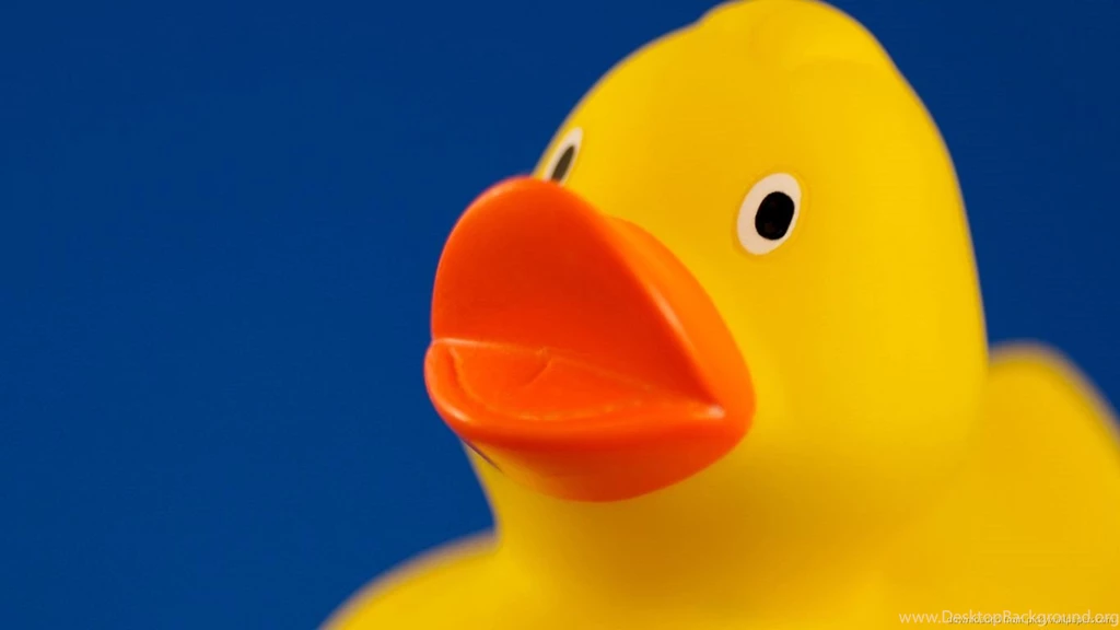 Download 1366x768 Macro Yellow Rubber Duck Wallpapers