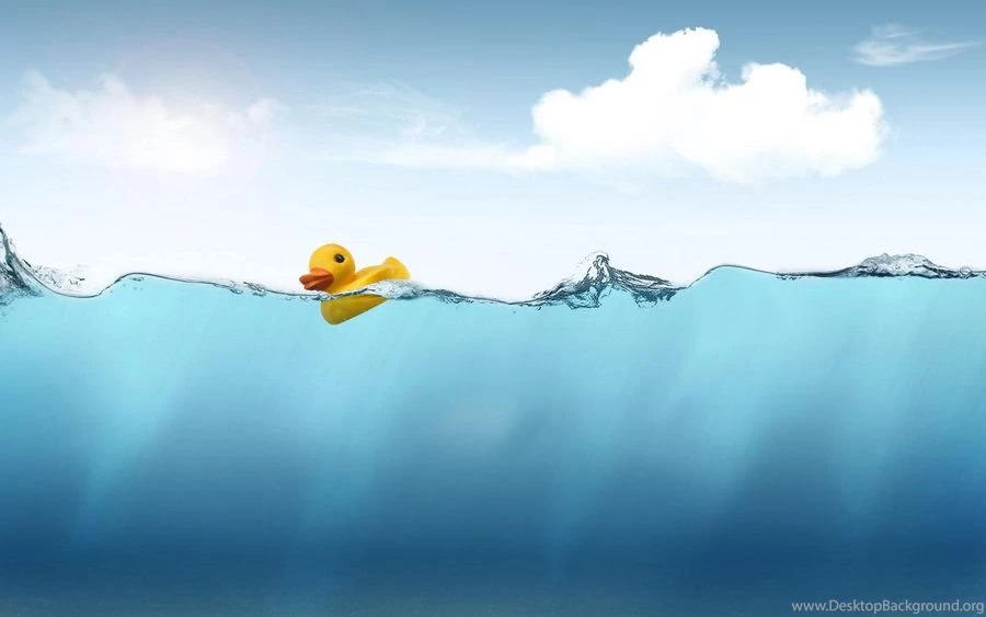 Duckwallpapers DeviantArt