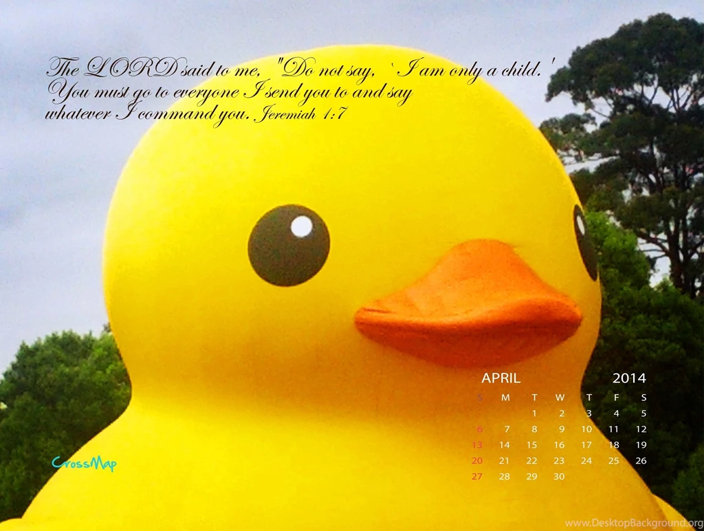 Yellow Rubber Duck 2014 Calendar Wallpapers   April