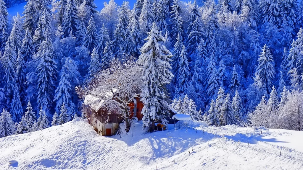 HD Backgrounds Winter Snow House Ice Trees Hill Wallpapers ...