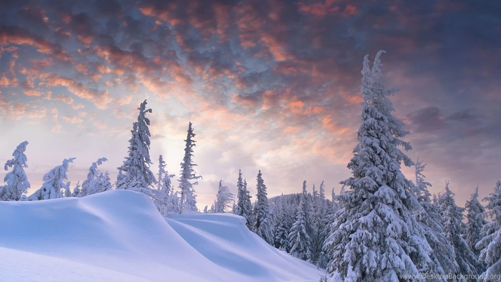 Winter Scenes Desktop Wallpapers