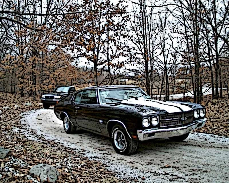 1970 Chevy Chevelle SS Car Pictures