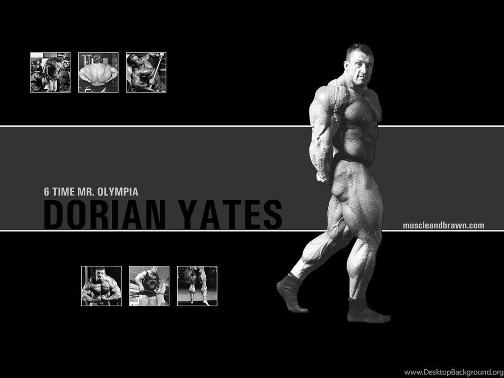 Muscle And Brawn Wallpapers   Muscle And Brawn