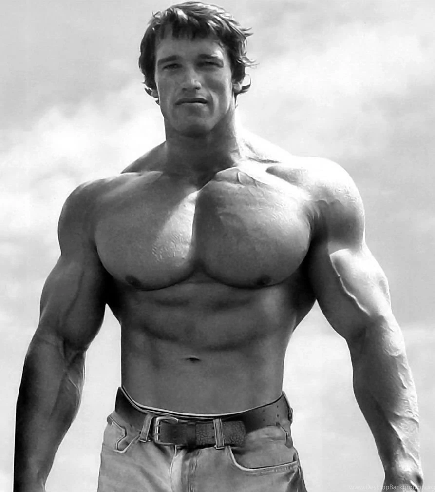 Beautiful Wallpapers: Top Bodybuilders Pictures