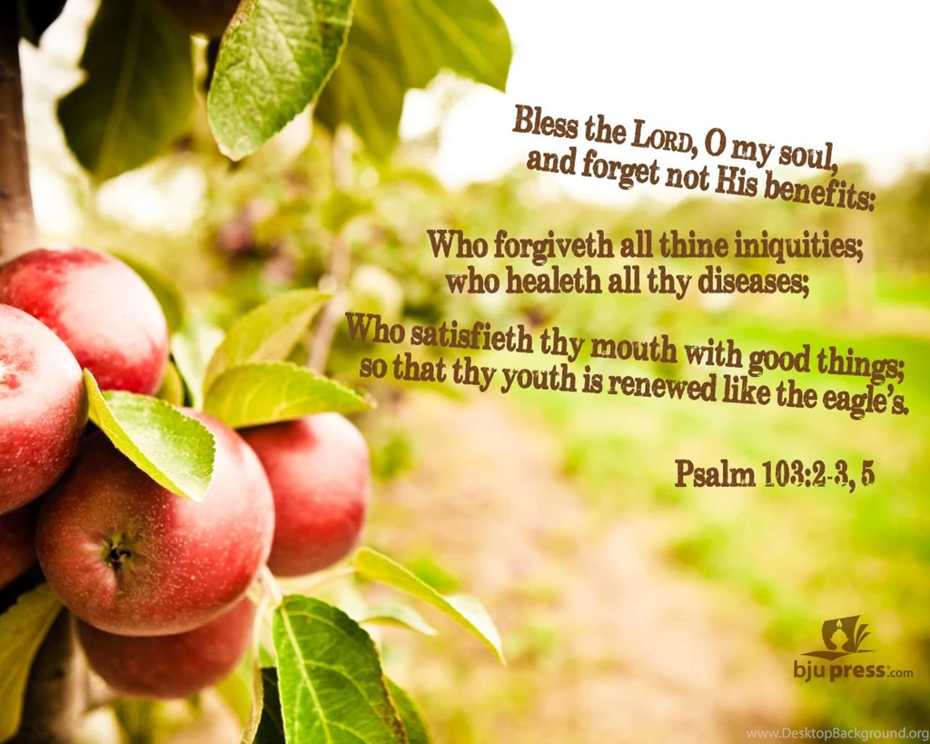 Scripture Verse Wallpapers On Pinterest