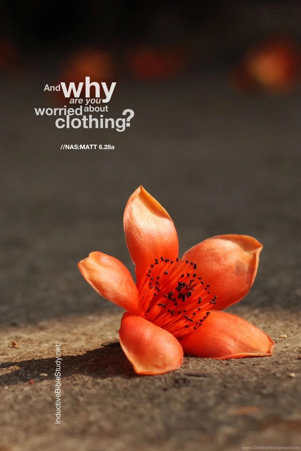 Christian Cellphone Wallpapers Download InductiveBibleStudy.net