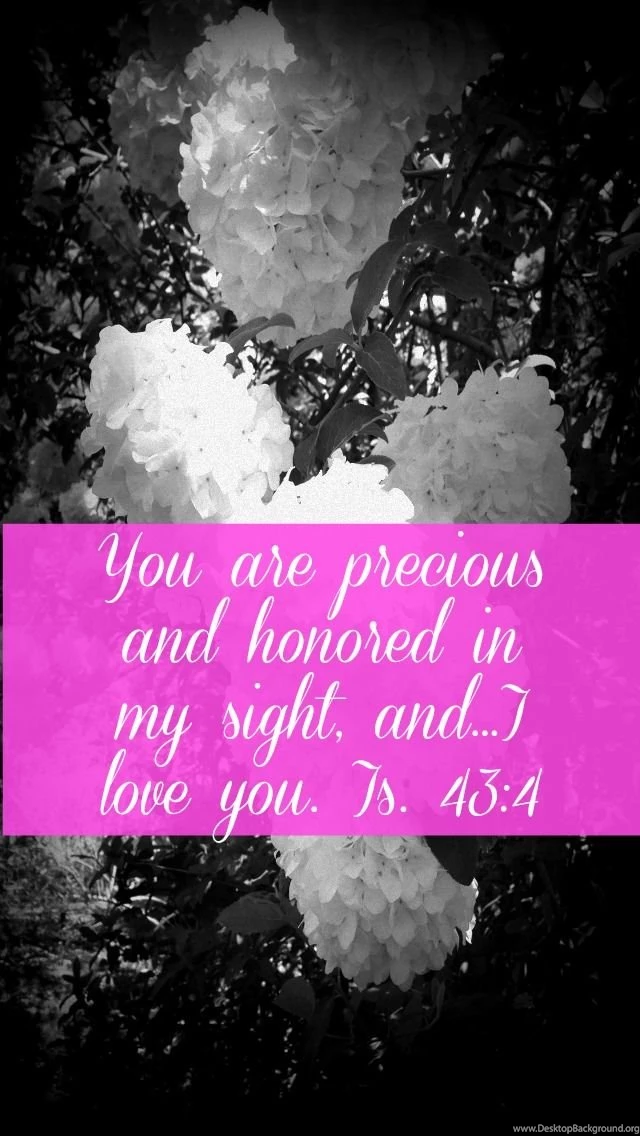 4 Free Scripture Iphone Backgrounds Wallpapers Not Consumed
