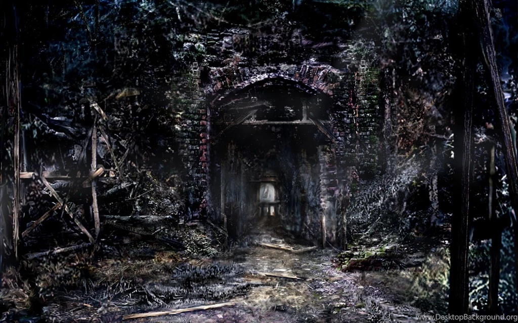 REV Wall   Resident Evil 4 Wallpapers (33549756)   Fanpop