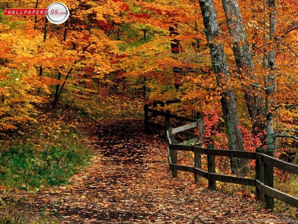 Fall Backgrounds Free Viewing Gallery