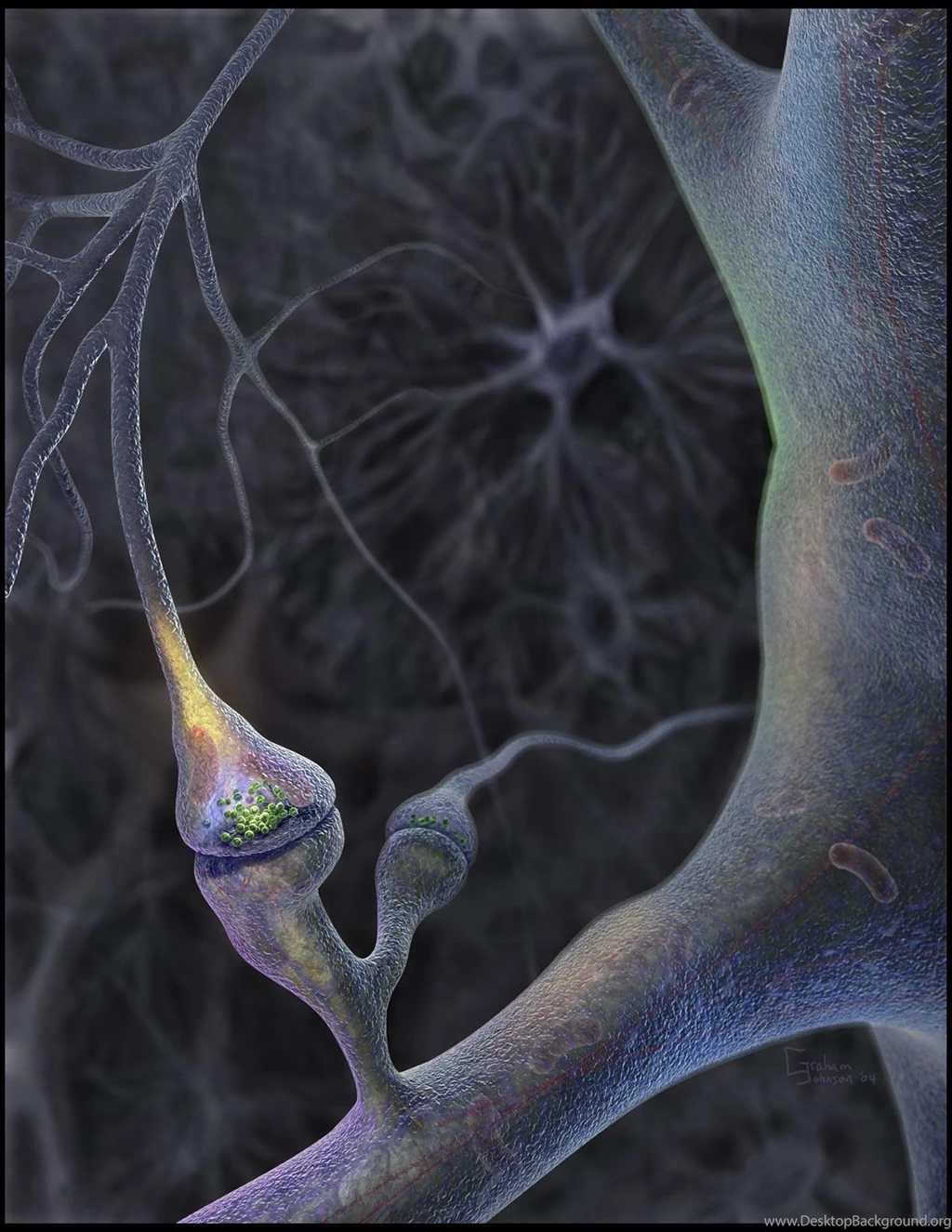Medical Science Dendrites Free Desktop Backgrounds Free Wallpapers ...