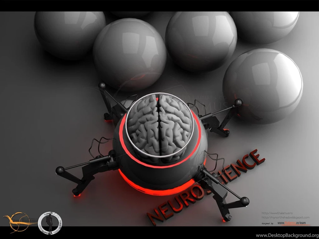 Brain Desktop Wallpapers By Mynorthshadow On DeviantArt