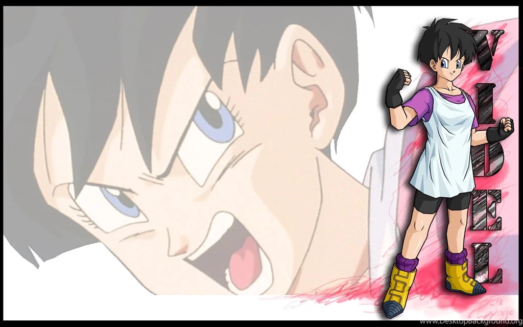 DBZ Warriors Widescreen Dragon Ball Z Wallpapers Of Goku, Vegeta ...