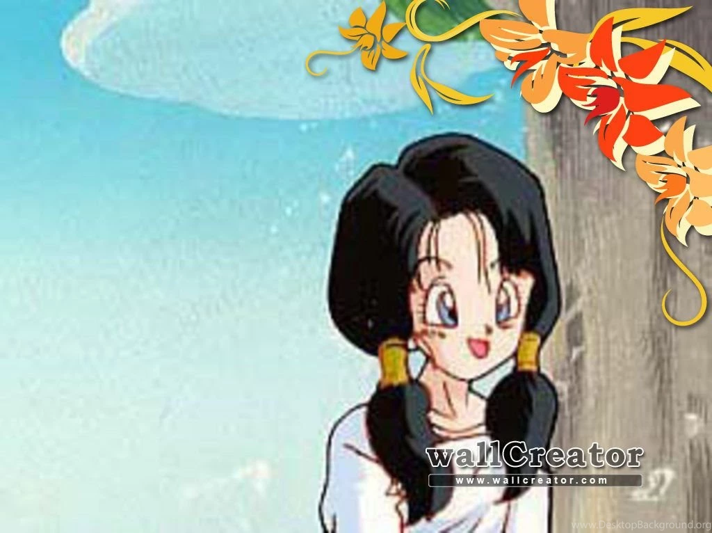 Videl Form Dbz   1024 / 768 Wallpapers