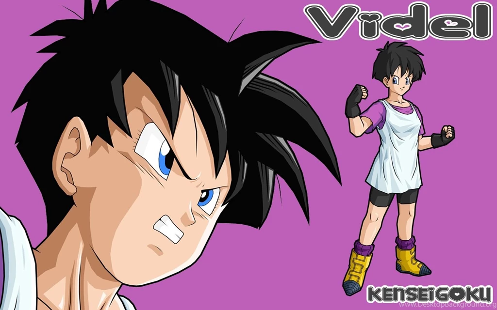 Videl Dbz Quotes. QuotesGram