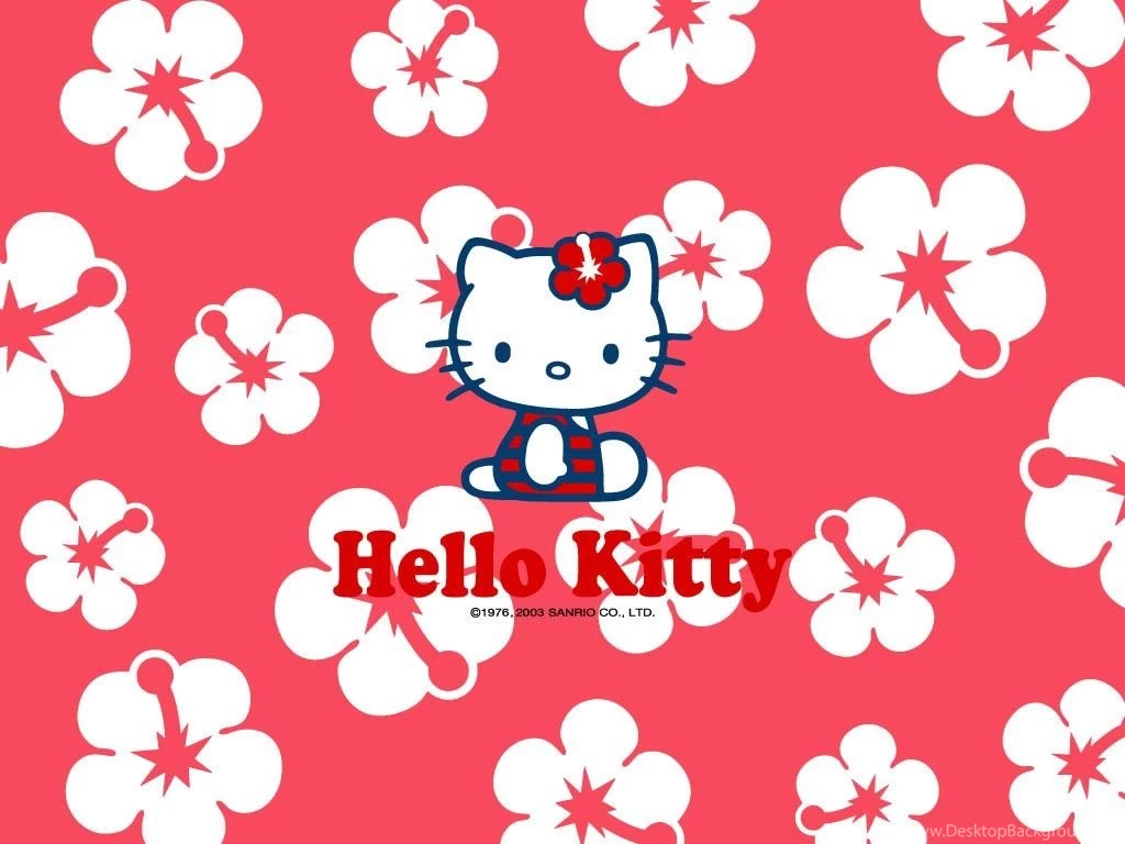 Some Hello Kitty Goodies