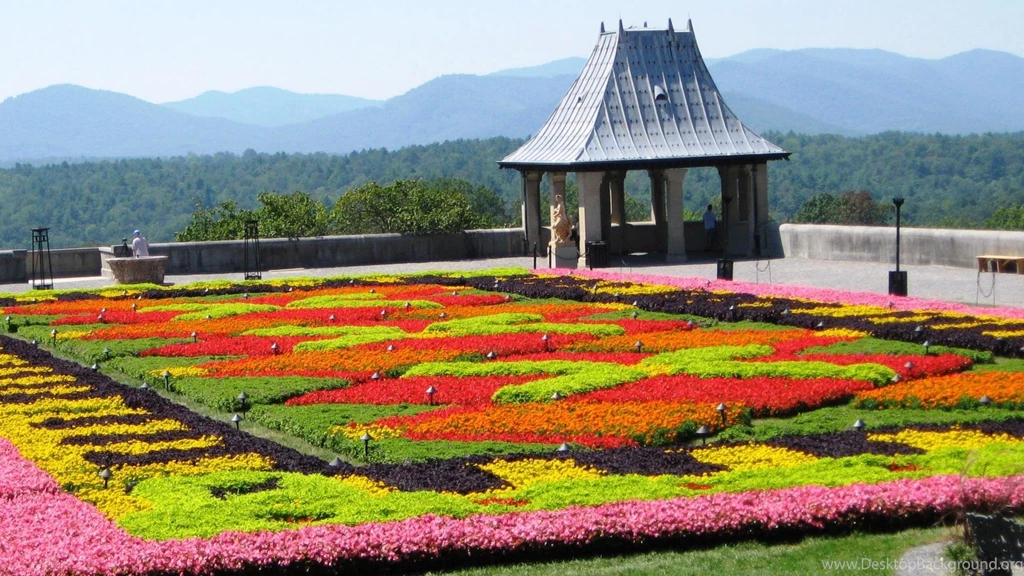 Biltmore Flower Carpet 1218477 Wallpapers   (