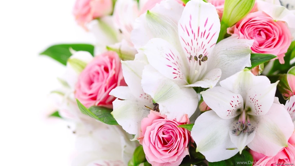 Flower wallpaper high resolution.jpg