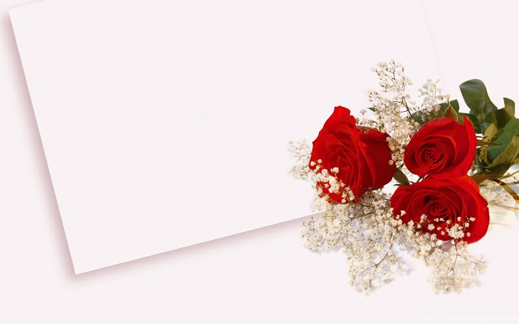 High resolution Photo Roses 25318 Flowers Photo Flowers