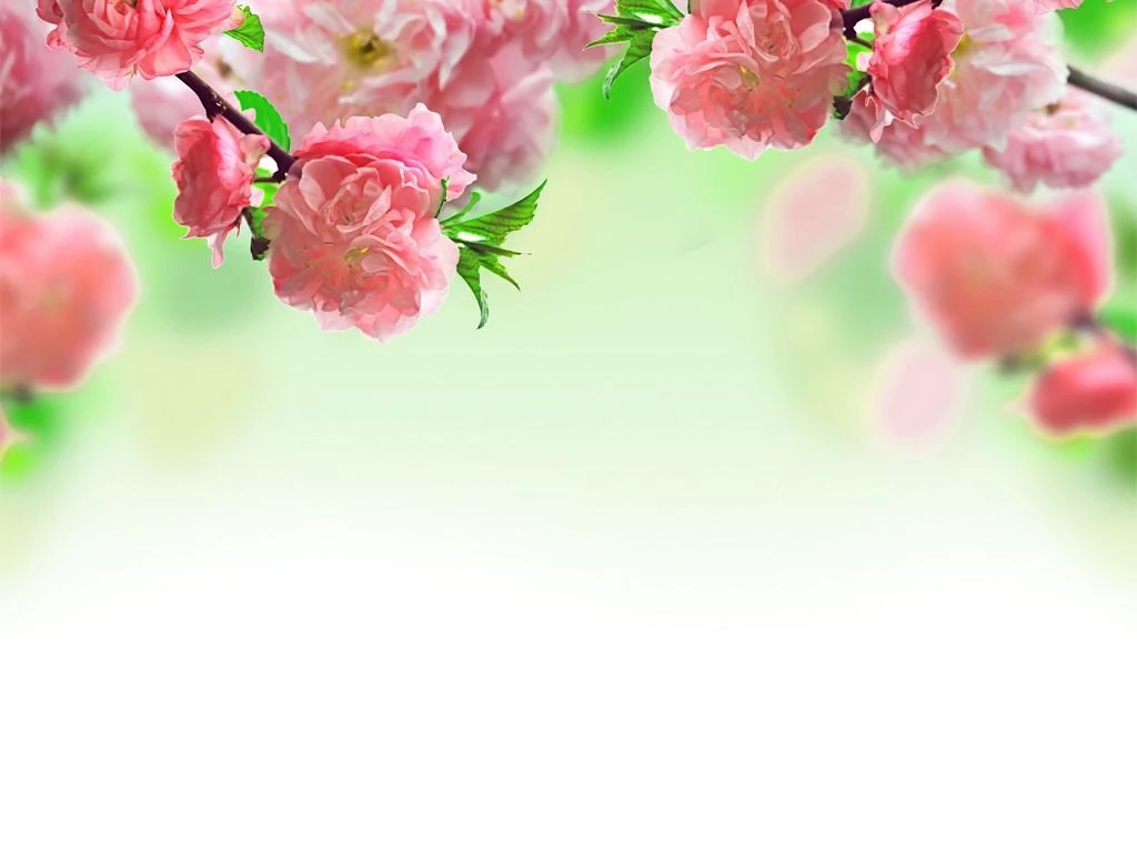 Wallpaperlite.com