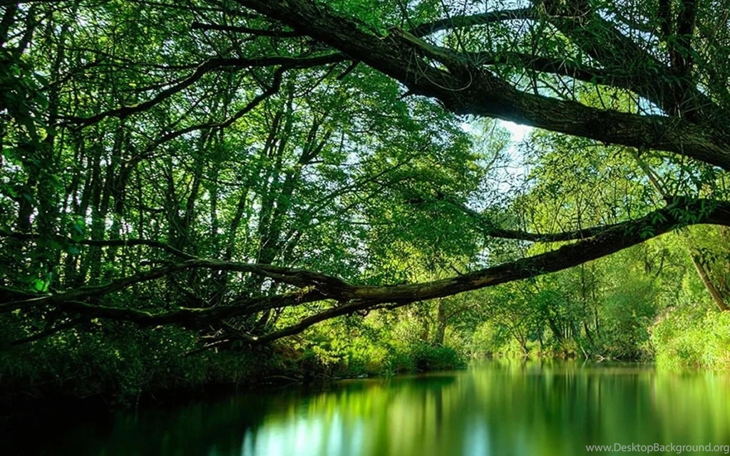 Galaxy Tab Wallpapers HD Nature Beautiful, Stunning Wallpapers