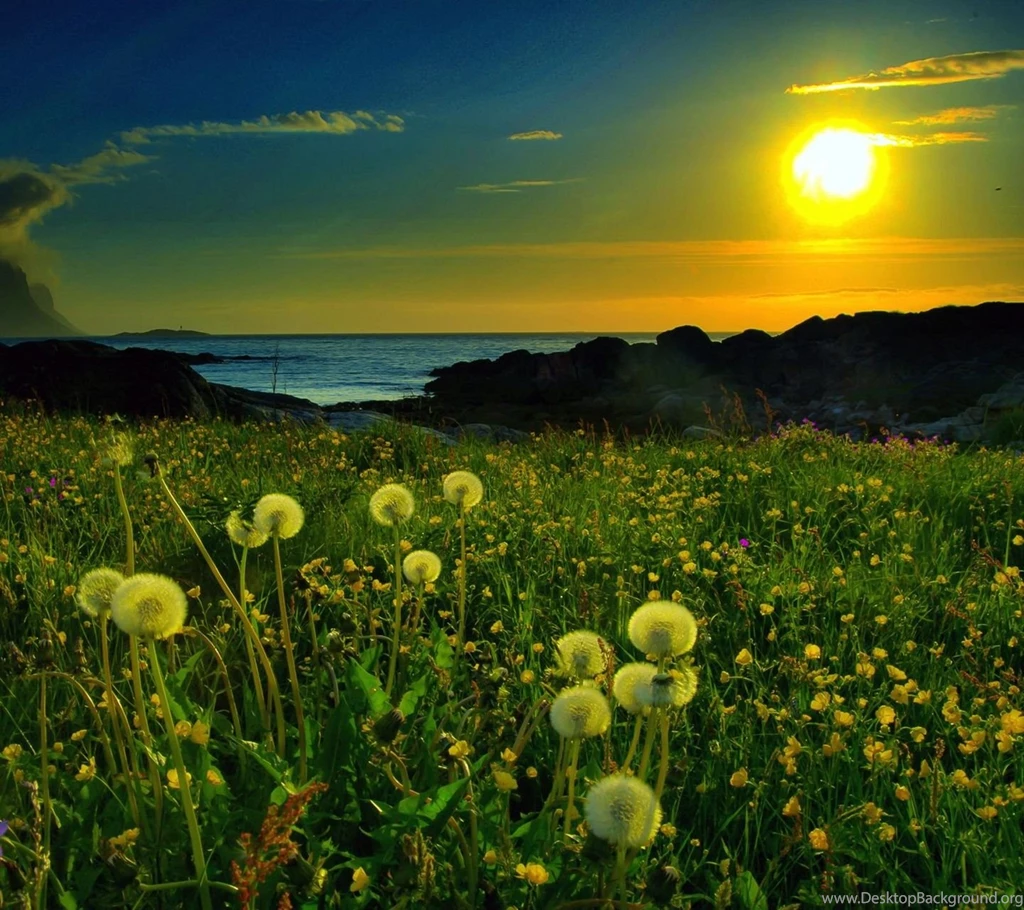 Mobile Wallpapers Sites Wallpapers HD Wide