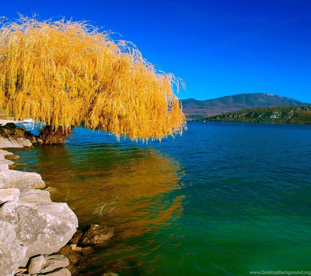 Lake Nature Wallpapers   Free Download