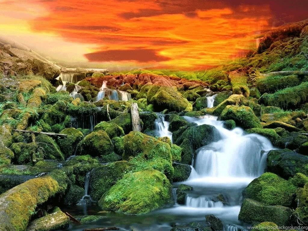 PC Wallpapers Nature Gifs