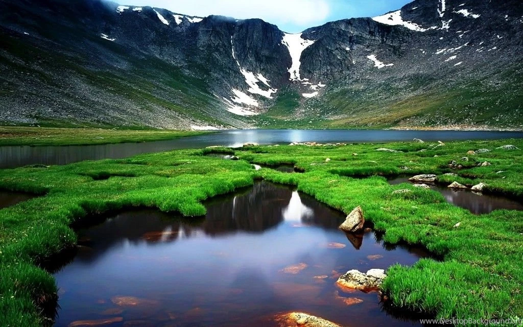 Widescreen Nature Wallpapers High Resolution Beautiful Green Grass on the Lake 1024x640.jpg
